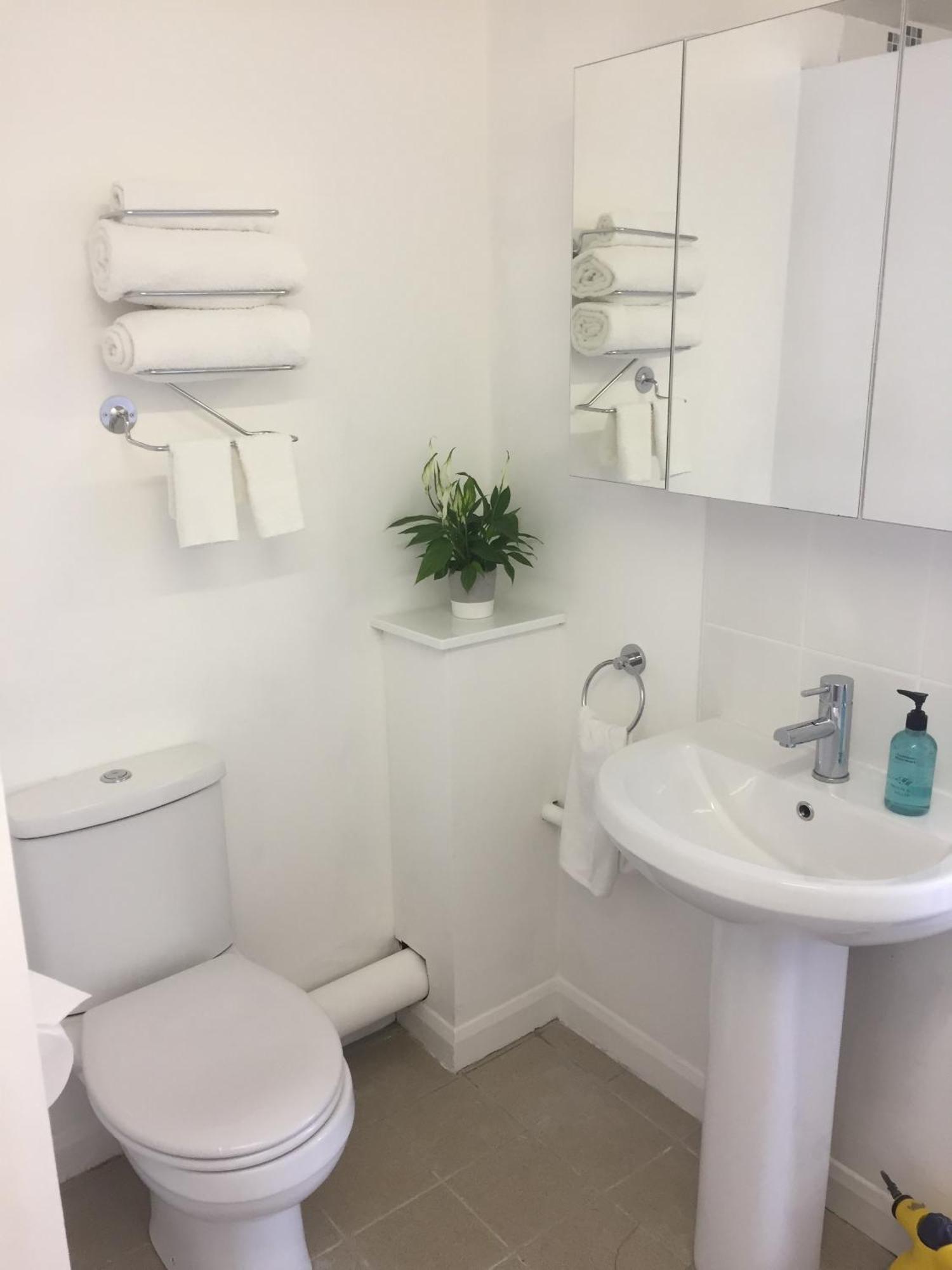 Basingstoke En Suite Room In Garden Annex Экстерьер фото